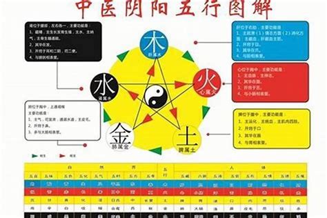 祤五行|樾字的五行属性